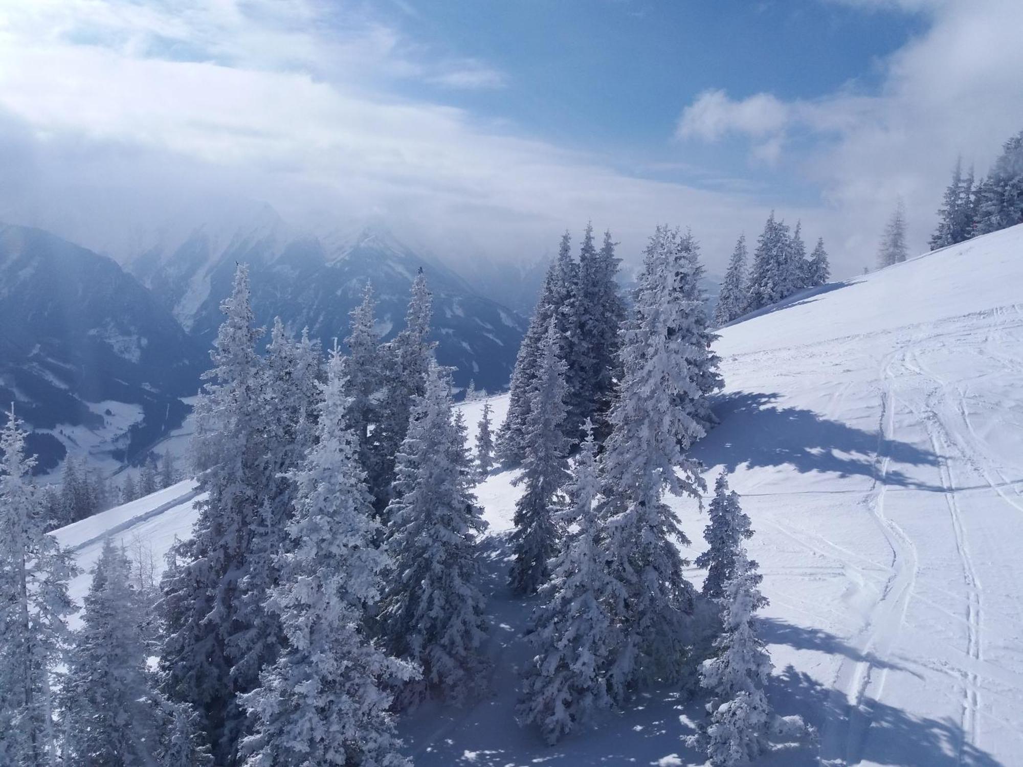 Apartment Wurnitsch Bramberg am Wildkogel Εξωτερικό φωτογραφία